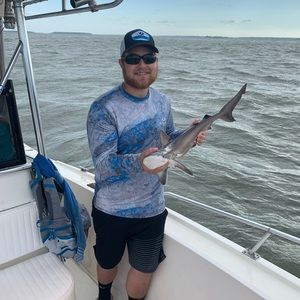 Meet your Posher, Jonathan